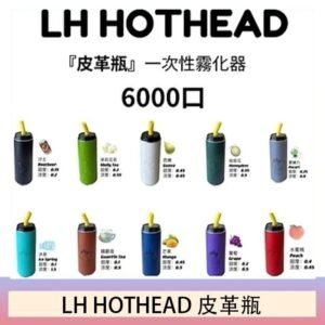 LH HOTHEAD皮革瓶電子煙可充電6000口一次性