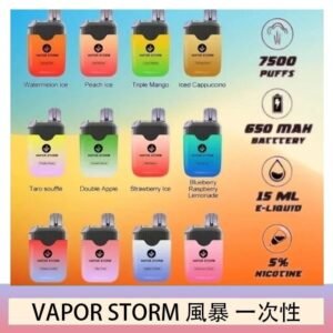Vapor Storm風暴電子煙7500口(5%)一次性